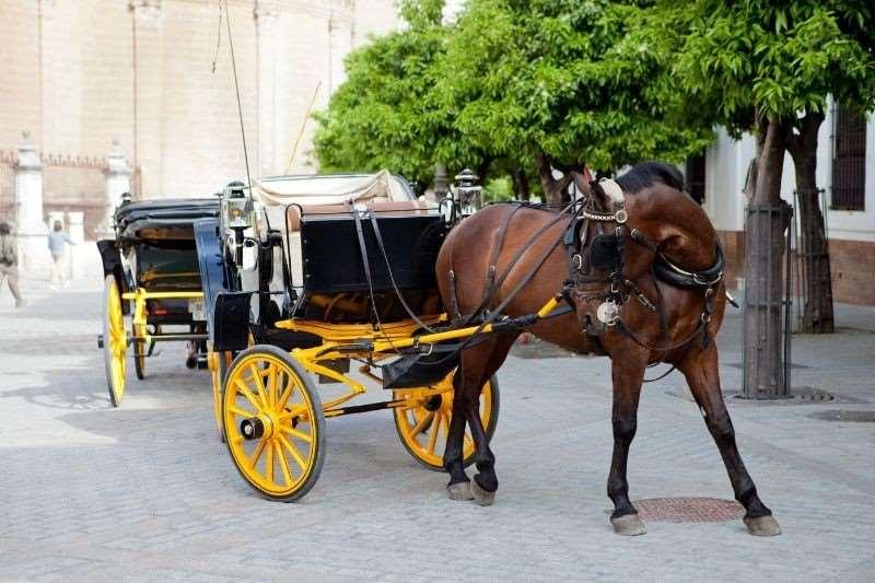 Hotel Dona Maria Sevilla Bekvemmeligheter bilde